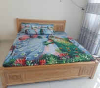 Giường ngủ gỗ Sồi 1M6